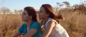 Two Irenes